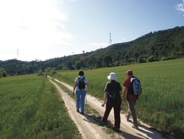 Camí de Sant Jaume per a tothom: Voir la fiche